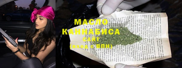 МДПВ Пересвет