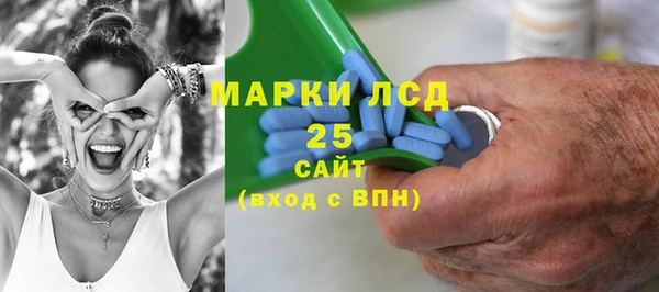 МДПВ Пересвет