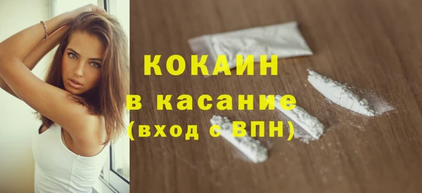 МДПВ Пересвет