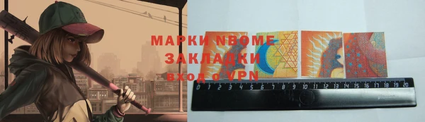 МДПВ Пересвет