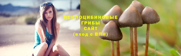 МДПВ Пересвет