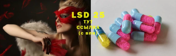 МДПВ Пересвет