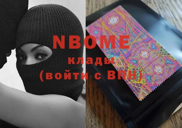 МДПВ Пересвет