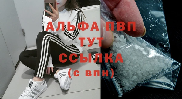 МДПВ Пересвет