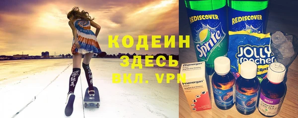 МДПВ Пересвет