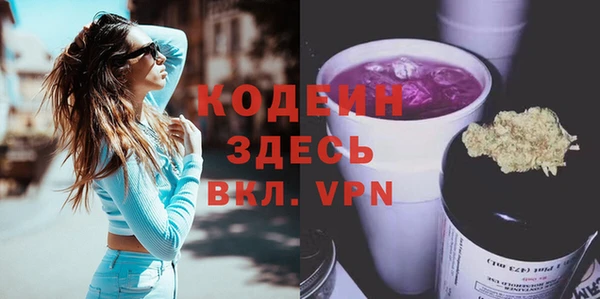 МДПВ Пересвет